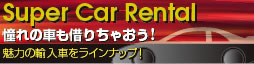 スーパーカーレンタル,輸入車 愛知県名古屋